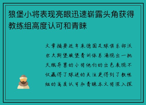 狼堡小将表现亮眼迅速崭露头角获得教练组高度认可和青睐